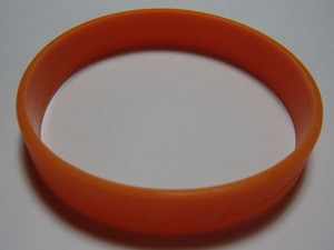 オレンジリング.JPGのサムネイル画像